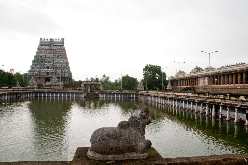 Chidambaram Temple tank Tamil Nadu